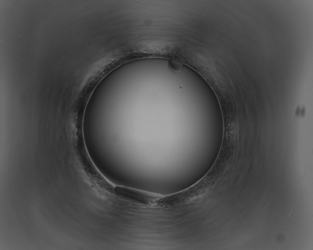 X0000093600688200710221548