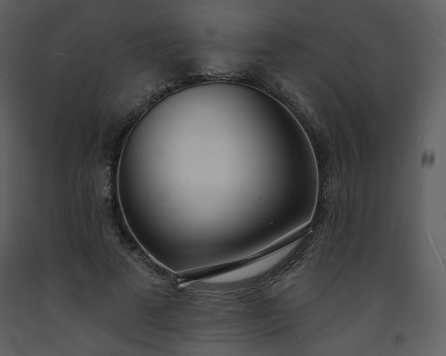 X0000093600689200710221548