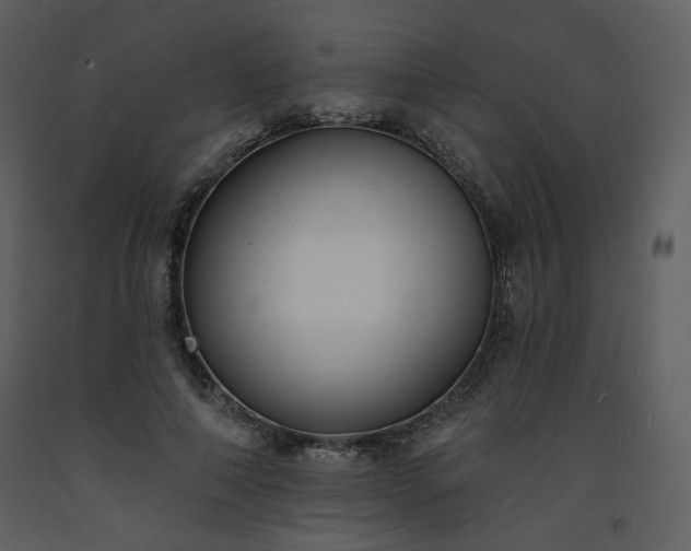 X0000093600690200710221548