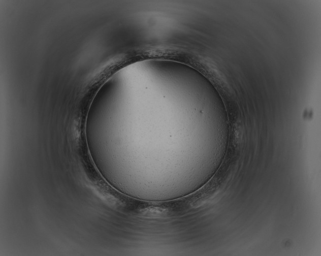 X0000093600691200710221548