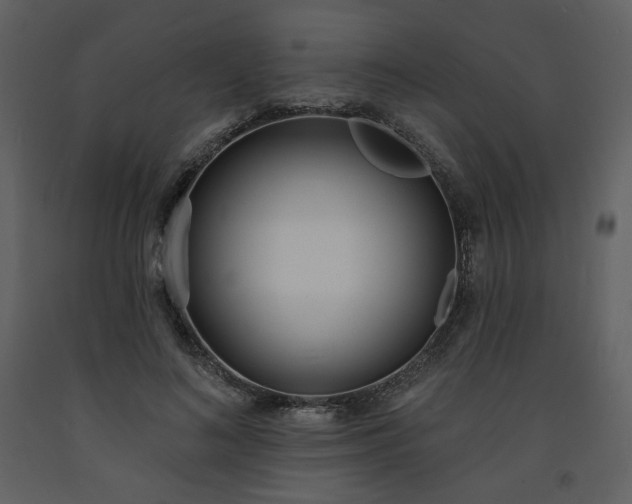 X0000093600692200710221548