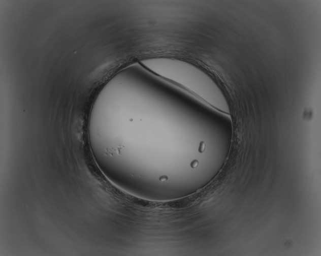 X0000093600693200710221548