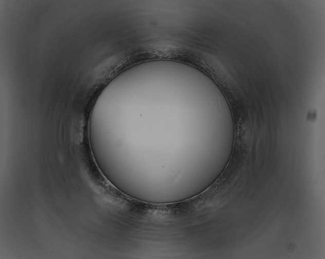 X0000093600694200710221548