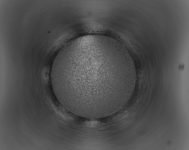 X0000093600695200710221547