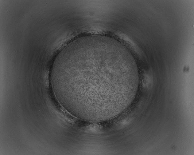 X0000093600696200710221547