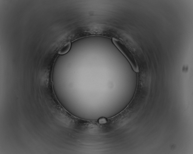 X0000093600697200710221547