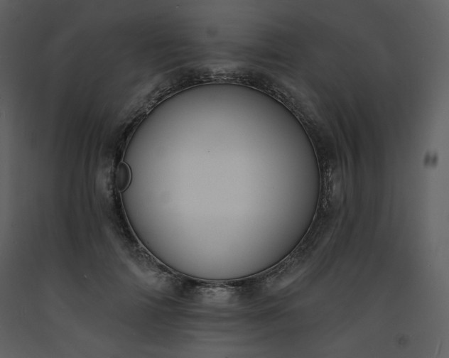 X0000093600698200710221547