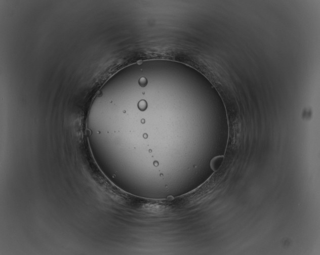 X0000093600699200710221547