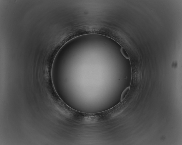 X0000093600700200710221547