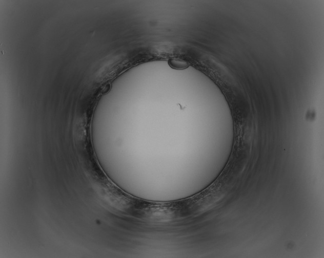 X0000093600702200710221547