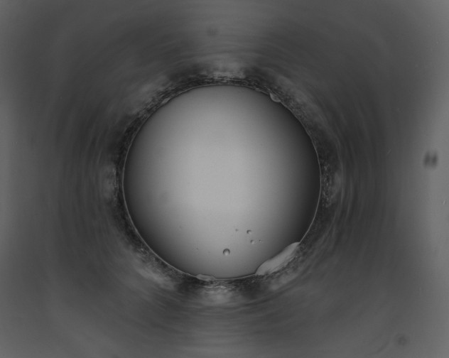 X0000093600704200710221547