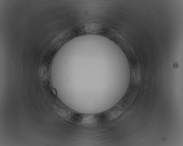 X0000093600705200710221547