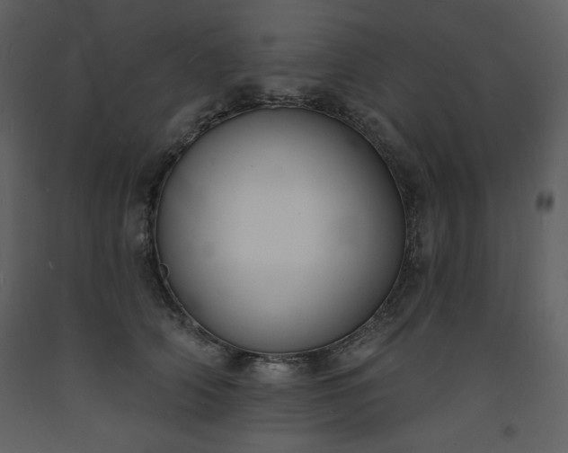 X0000093600706200710221547