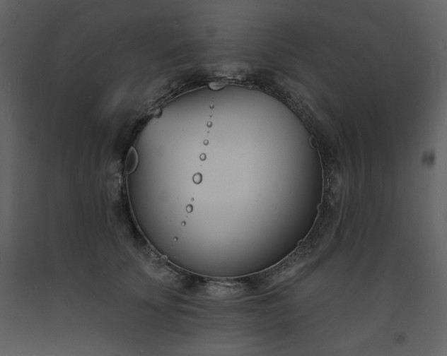 X0000093600707200710221547