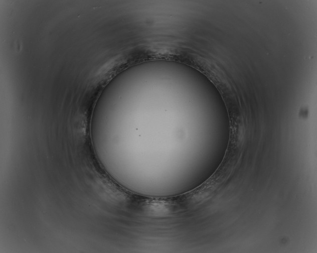 X0000093600710200710221547