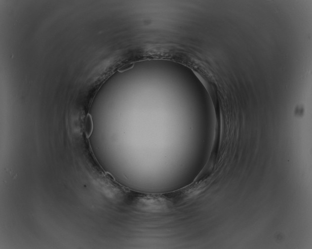 X0000093600712200710221547