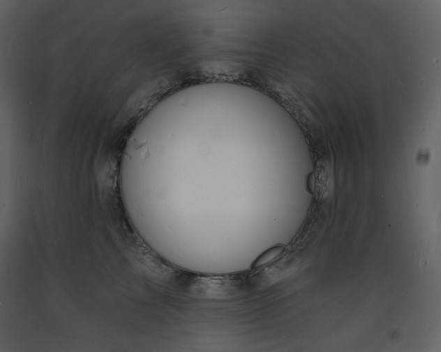 X0000093600713200710221547