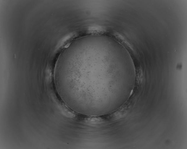 X0000093600716200710221547