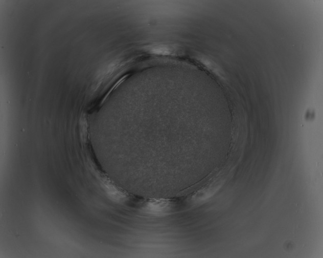 X0000093600720200710221547