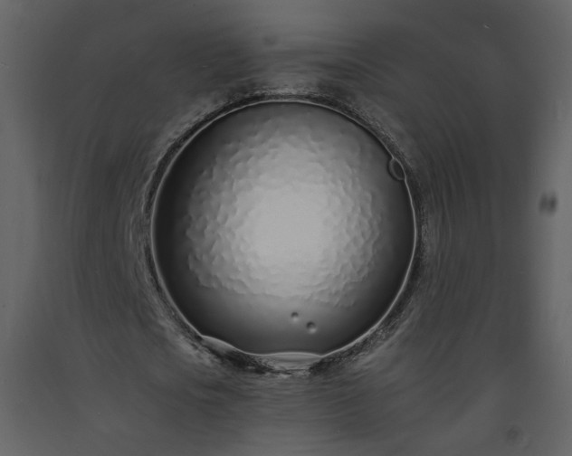 X0000093600721200710221546