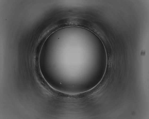 X0000093600722200710221546