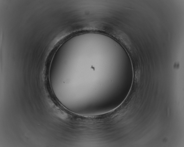 X0000093600724200710221546