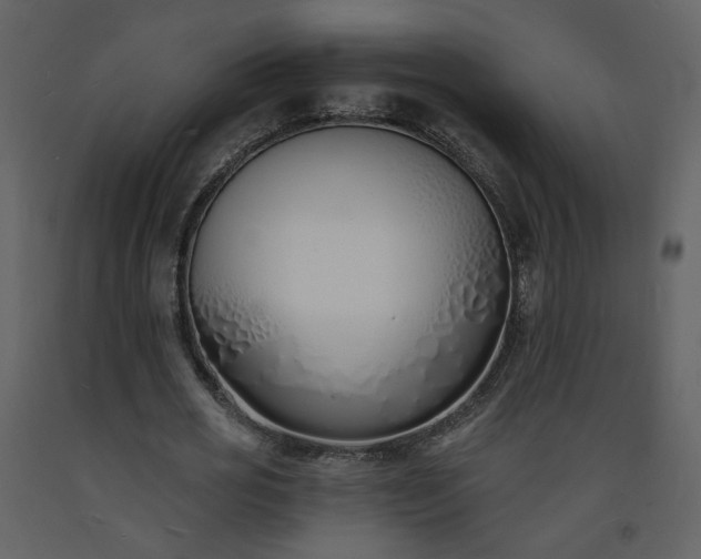 X0000093600725200710221546