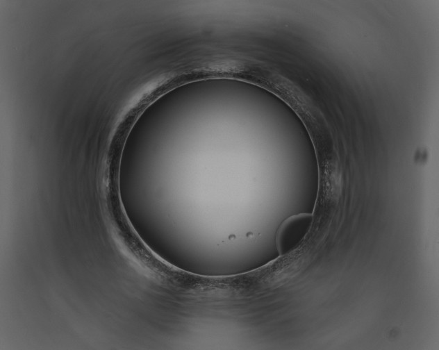 X0000093600726200710221546