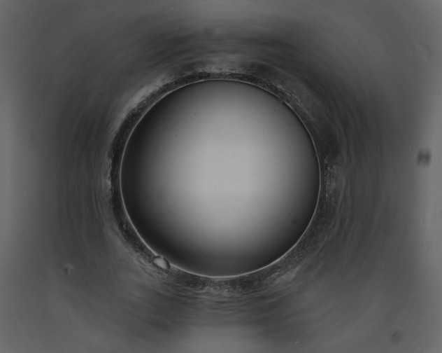 X0000093600727200710221546