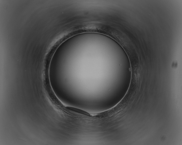 X0000093600728200710221546