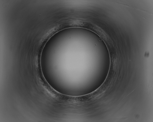 X0000093600729200710221547