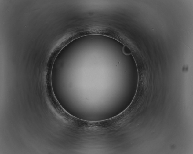 X0000093600730200710221547