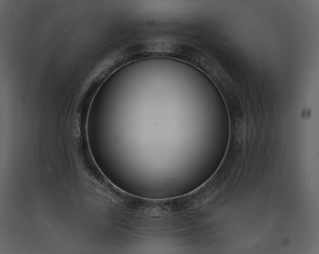 X0000093600731200710221547