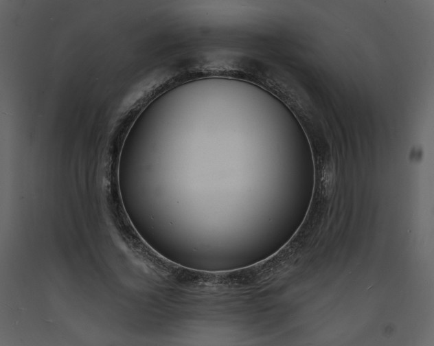 X0000093600732200710221547