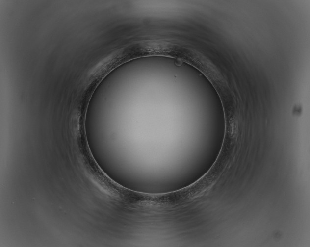 X0000093600733200710221547