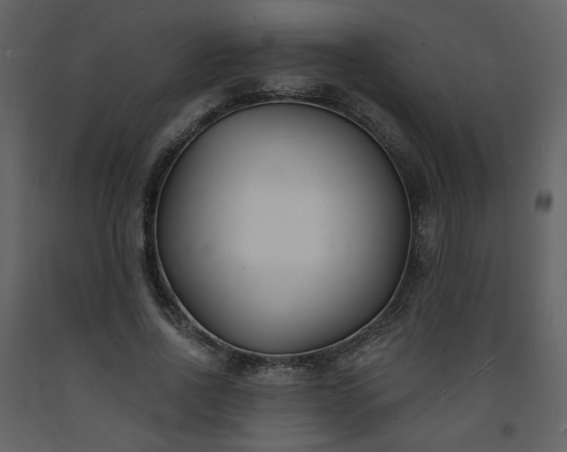 X0000093600734200710221547