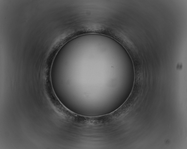 X0000093600736200710221547