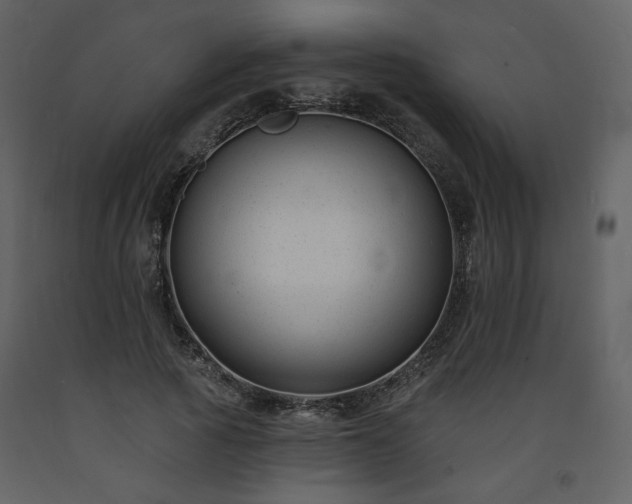 X0000093600737200710221547