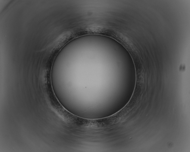 X0000093600738200710221547