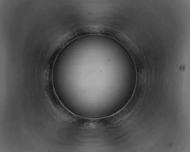 X0000093600739200710221547