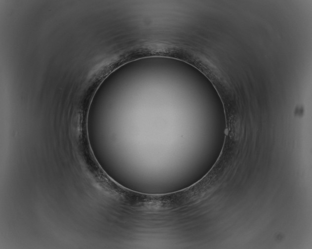 X0000093600740200710221547