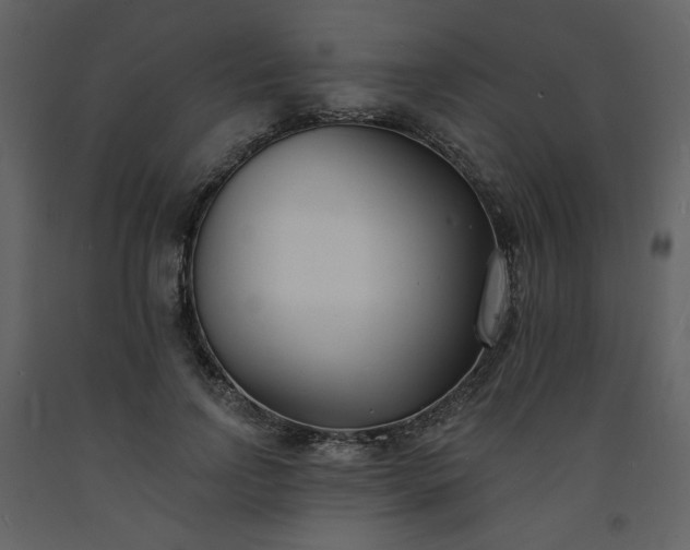 X0000093600742200710221547