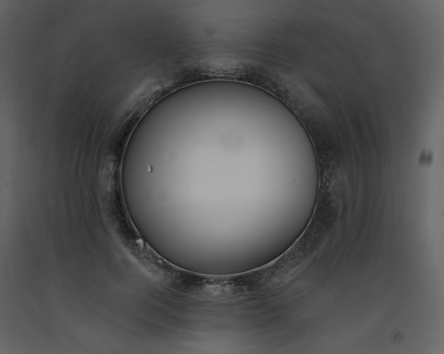 X0000093600744200710221547