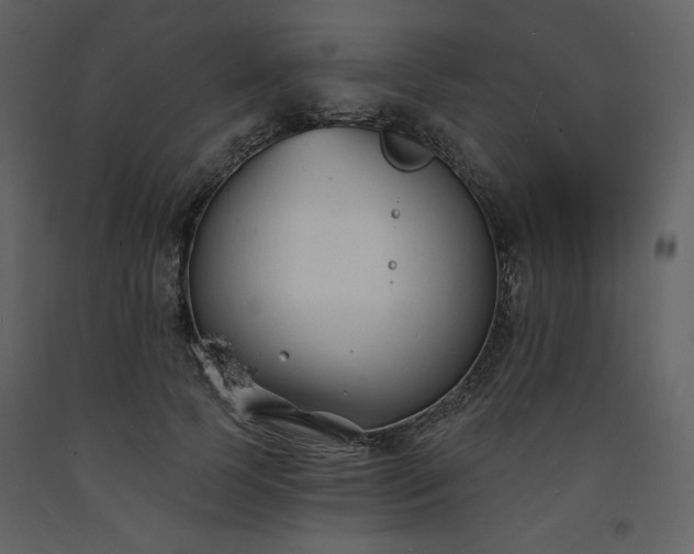 X0000093600745200710221547