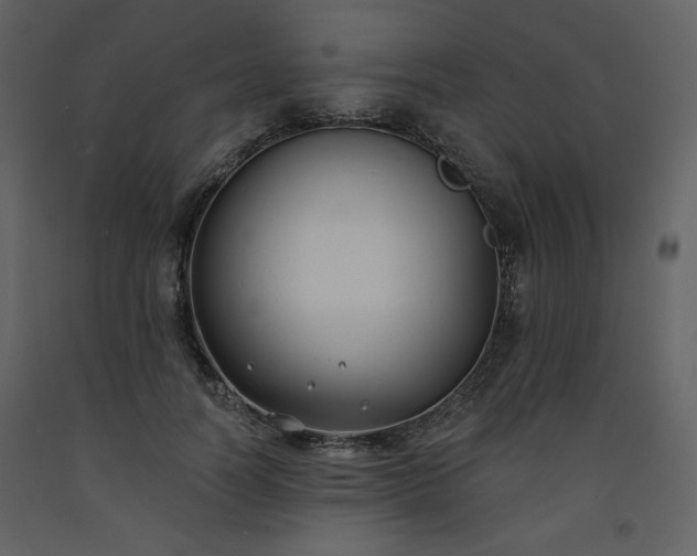 X0000093600746200710221547