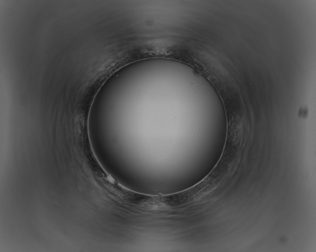 X0000093600747200710221547