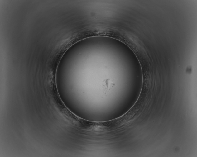 X0000093600748200710221547