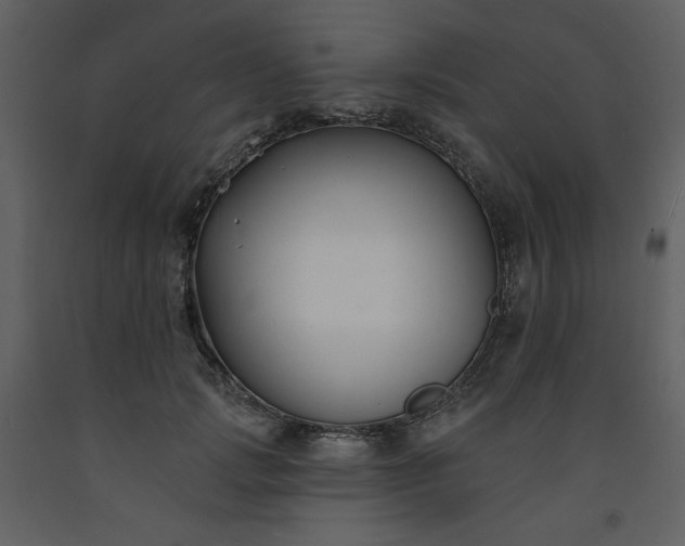 X0000093600749200710221547