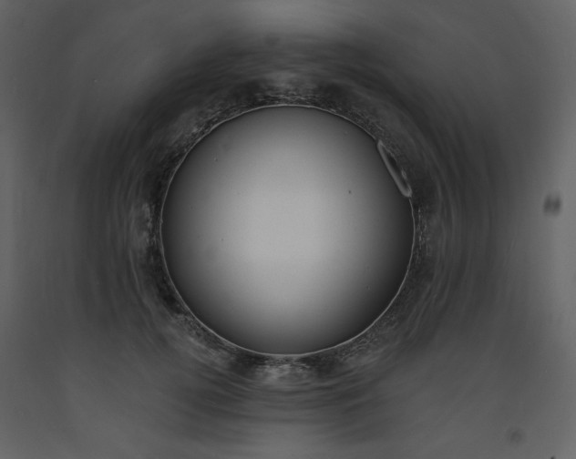 X0000093600752200710221547