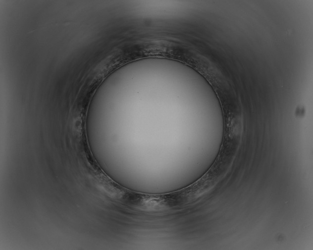 X0000093600753200710221547